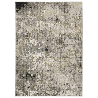 Nebulous Grey/Beige Area Rug 091D9