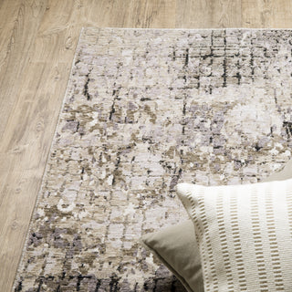 Nebulous Grey/Beige Area Rug 091D9