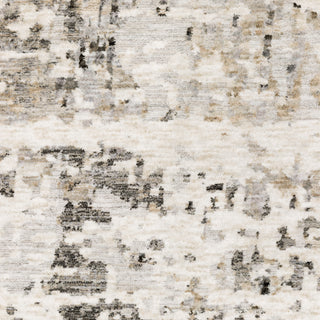 Nebulous Grey/Beige Area Rug 091L9