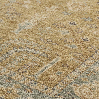 The Rug Corner Feizy Carrington Traditional Oriental - Gold/Blue/Gray  Carrington Traditional Oriental - Gold/Blue/Gray