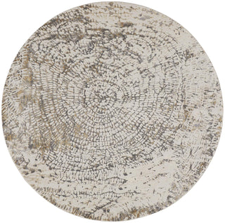 Parker Transitional Abstract - Ivory/Tan/Gray