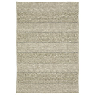 Tortuga Beige/Black Area Rug TR01A