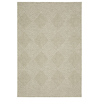 Tortuga Beige/Beige Area Rug TR05A