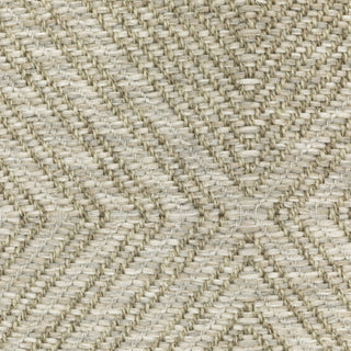 Tortuga Beige/Beige Area Rug TR05A