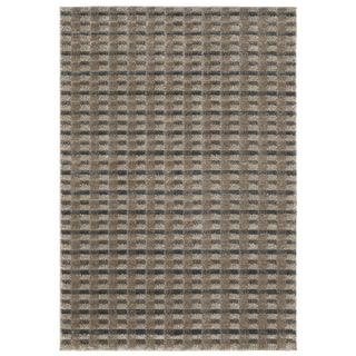 Wonder Brown/Beige Area Rug WON08