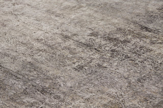The Rug Corner Feizy Sarrant Transitional Medallion - Gray/Ivory/Tan  
