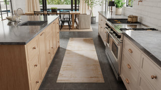 The Rug Corner Feizy Deja Modern Distressed - Ivory/Brown/Tan  