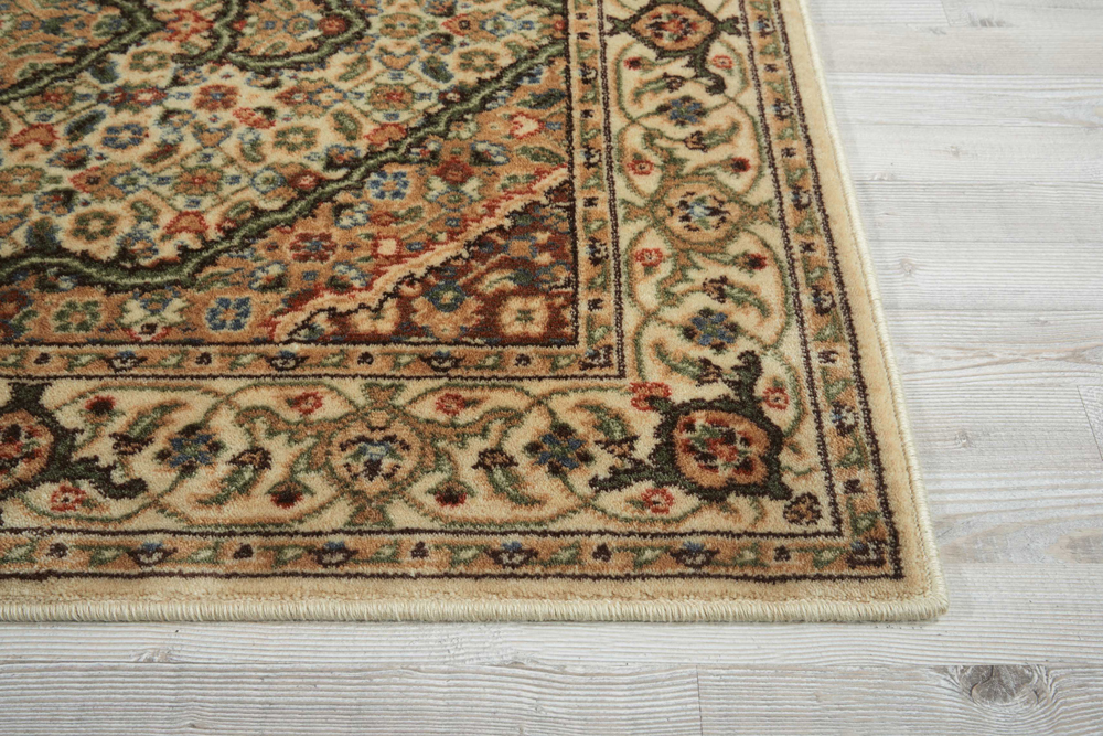 Nourison PERSIAN ARTS BD03 IVORY Rug