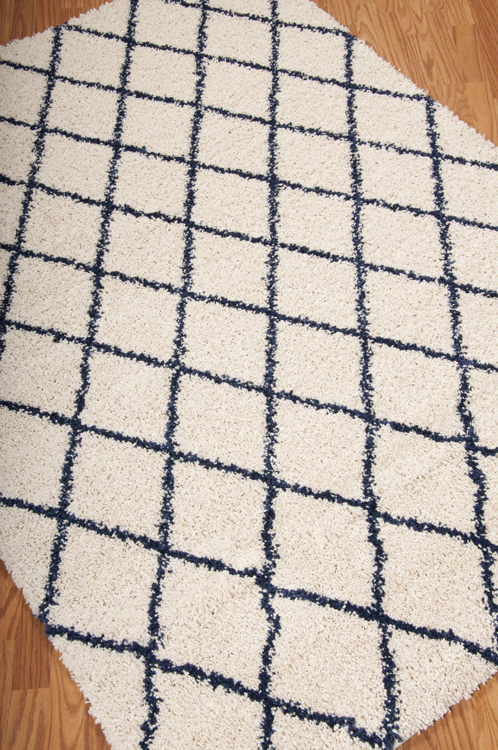 Nourison BRISBANE BRI08 IVORY/BLUE Rug