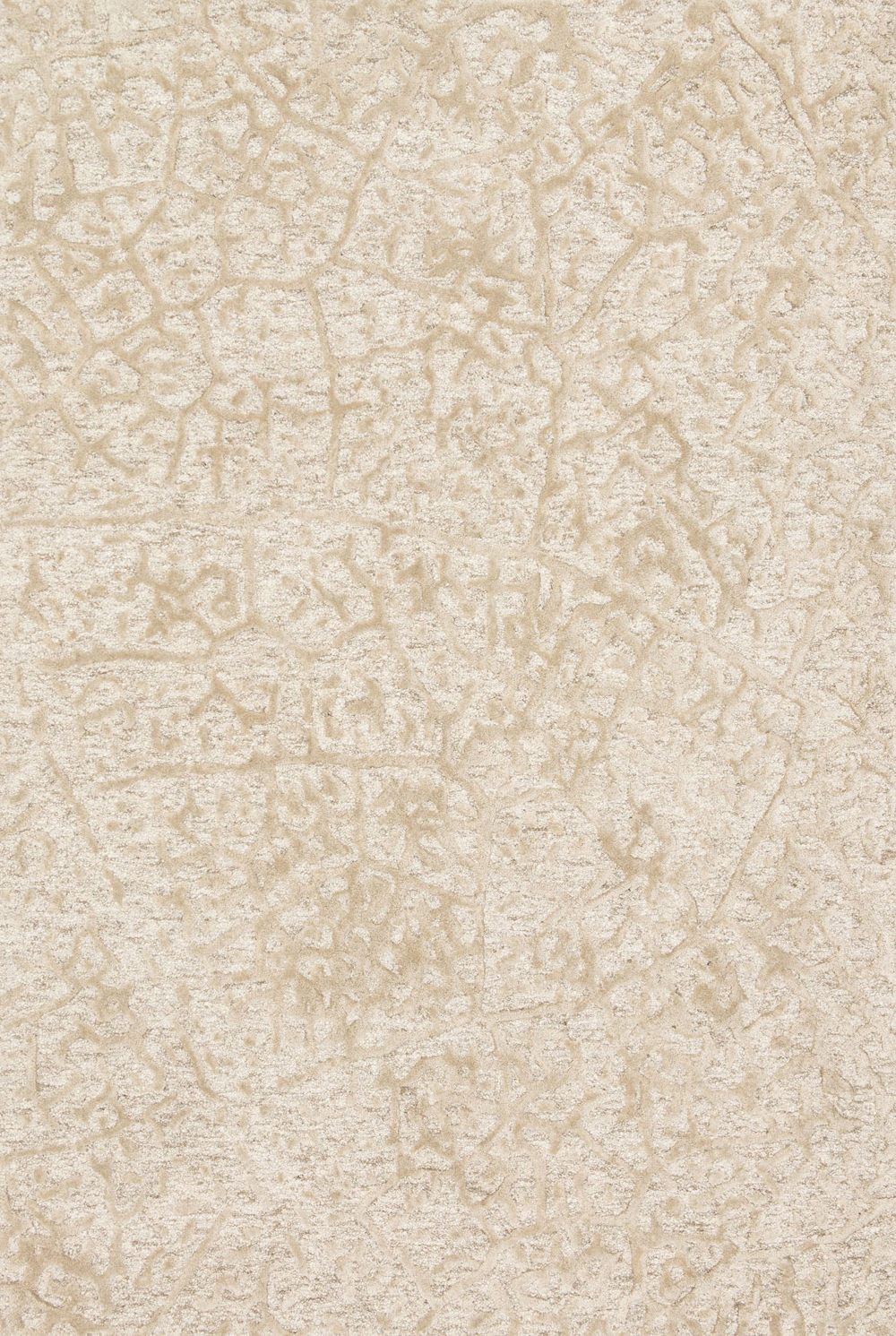 Loloi JUNEAU JY-03 ANT IVORY/BEIGE Rug