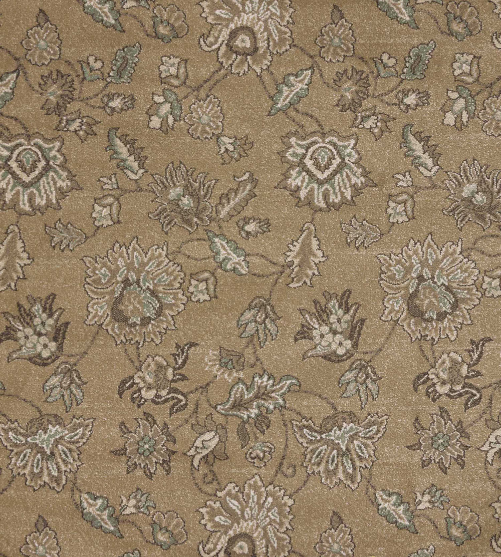 Radici USA PISA 3475/0010/BEIGE beige Rug