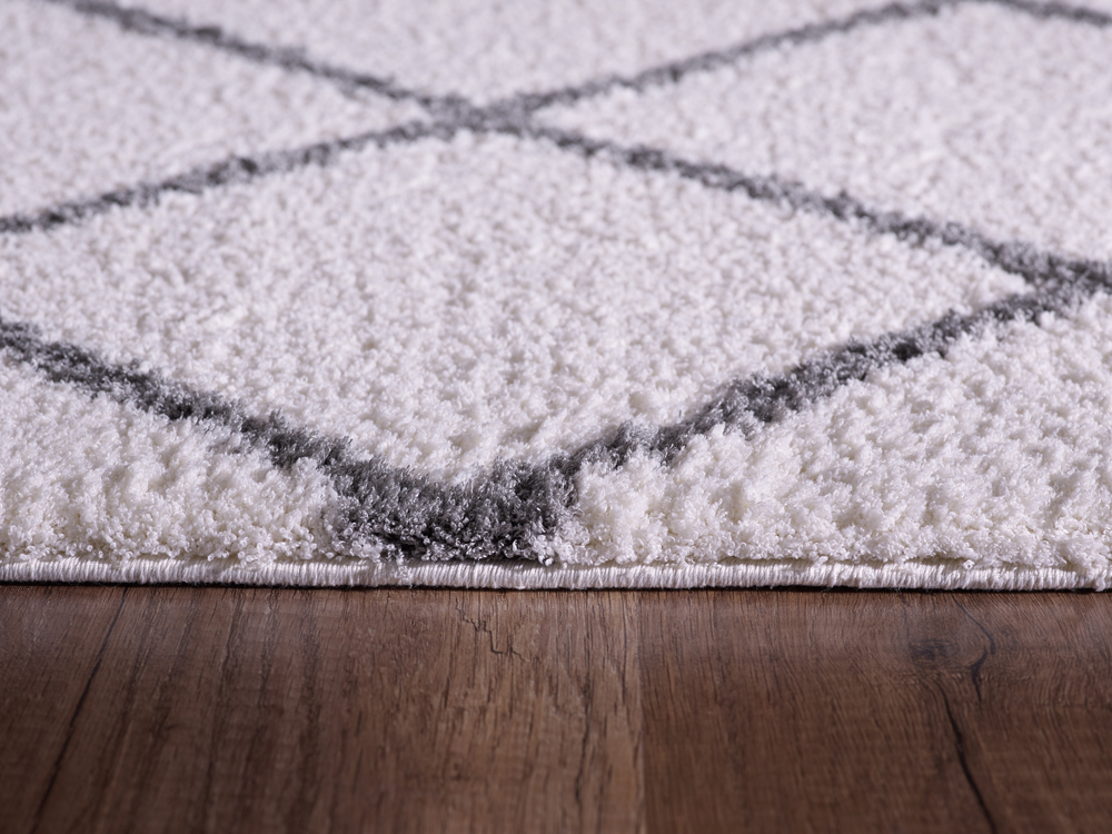 Dynamic SILKY SHAG 5920 IVORY/SILVER Rug